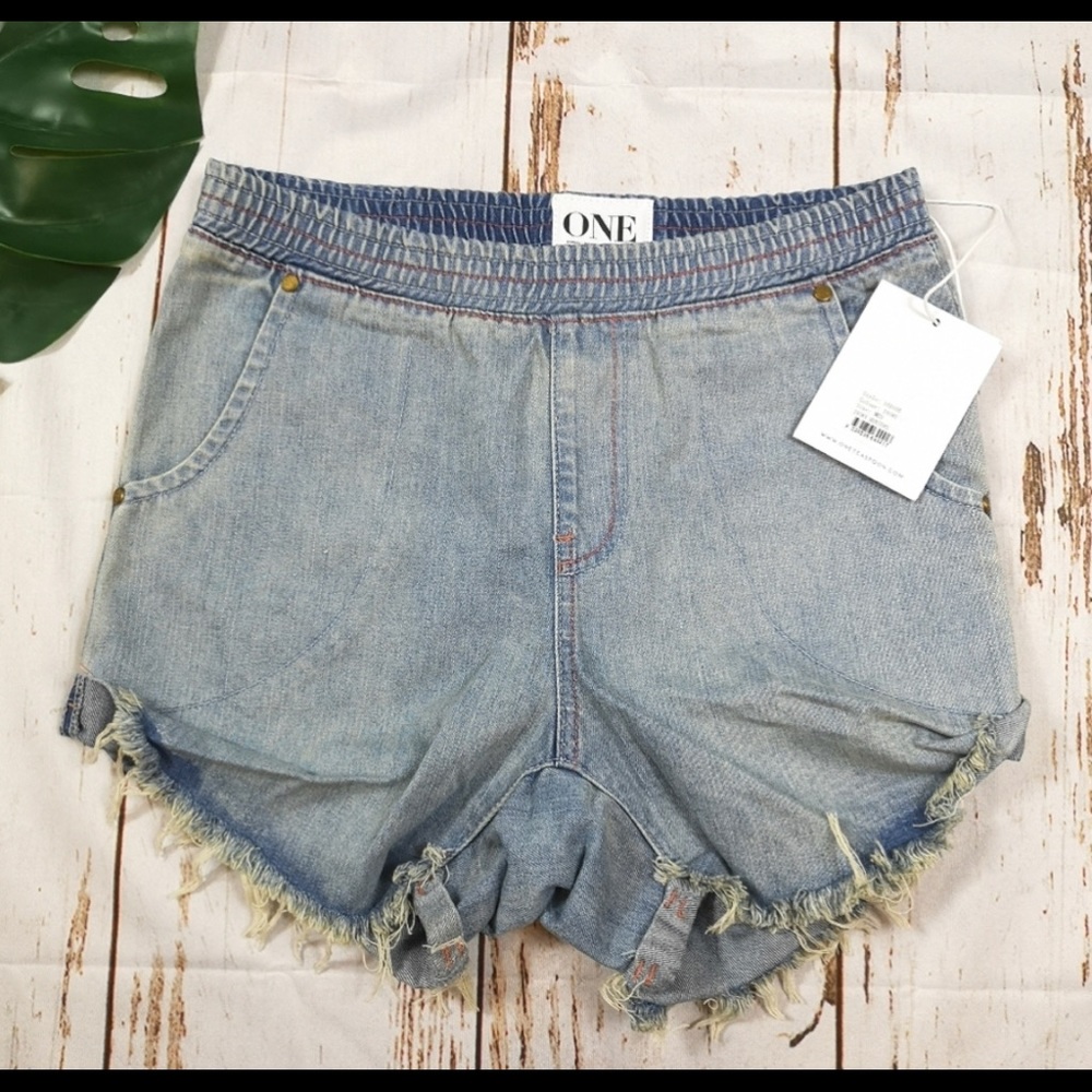 One teaspoon destroyed Jean shorts